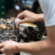 Vacature Hydrauliek Monteur